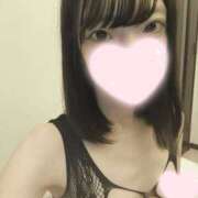 ヒメ日記 2026/05/14 21:56 投稿 ねこ【品性溢れるドM美女】 STELLA TOKYO－ステラトウキョウ－
