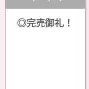 ヒメ日記 2026/05/16 05:10 投稿 ねこ【品性溢れるドM美女】 STELLA TOKYO－ステラトウキョウ－
