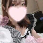 ヒメ日記 2026/05/25 13:14 投稿 ねこ【品性溢れるドM美女】 STELLA TOKYO－ステラトウキョウ－