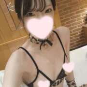 ヒメ日記 2026/05/25 23:40 投稿 ねこ【品性溢れるドM美女】 STELLA TOKYO－ステラトウキョウ－