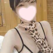 ヒメ日記 2026/05/28 20:23 投稿 ねこ【品性溢れるドM美女】 STELLA TOKYO－ステラトウキョウ－