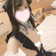 ヒメ日記 2026/05/31 20:45 投稿 ねこ【品性溢れるドM美女】 STELLA TOKYO－ステラトウキョウ－