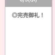 ヒメ日記 2026/06/04 05:07 投稿 ねこ【品性溢れるドM美女】 STELLA TOKYO－ステラトウキョウ－
