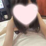 ヒメ日記 2026/06/22 07:07 投稿 ねこ【品性溢れるドM美女】 STELLA TOKYO－ステラトウキョウ－