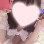 ヒメ日記 2026/07/02 13:04 投稿 ねこ【品性溢れるドM美女】 STELLA TOKYO－ステラトウキョウ－