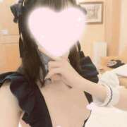 ヒメ日記 2026/07/07 07:10 投稿 ねこ【品性溢れるドM美女】 STELLA TOKYO－ステラトウキョウ－