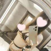 ヒメ日記 2026/07/10 12:20 投稿 ねこ【品性溢れるドM美女】 STELLA TOKYO－ステラトウキョウ－