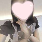 ヒメ日記 2026/07/14 07:08 投稿 ねこ【品性溢れるドM美女】 STELLA TOKYO－ステラトウキョウ－
