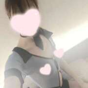 ヒメ日記 2026/07/24 20:21 投稿 ねこ【品性溢れるドM美女】 STELLA TOKYO－ステラトウキョウ－