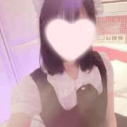 ヒメ日記 2026/07/28 20:24 投稿 ねこ【品性溢れるドM美女】 STELLA TOKYO－ステラトウキョウ－