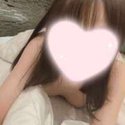 ヒメ日記 2026/07/30 00:00 投稿 ねこ【品性溢れるドM美女】 STELLA TOKYO－ステラトウキョウ－