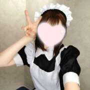 ヒメ日記 2026/07/31 20:20 投稿 ねこ【品性溢れるドM美女】 STELLA TOKYO－ステラトウキョウ－