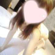 ヒメ日記 2026/08/01 12:15 投稿 ねこ【品性溢れるドM美女】 STELLA TOKYO－ステラトウキョウ－