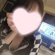 ヒメ日記 2026/08/04 17:06 投稿 ねこ【品性溢れるドM美女】 STELLA TOKYO－ステラトウキョウ－