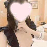 ヒメ日記 2026/08/08 18:20 投稿 ねこ【品性溢れるドM美女】 STELLA TOKYO－ステラトウキョウ－