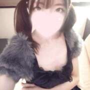 ヒメ日記 2026/08/13 13:16 投稿 ねこ【品性溢れるドM美女】 STELLA TOKYO－ステラトウキョウ－