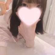 ヒメ日記 2026/08/29 07:05 投稿 ねこ【品性溢れるドM美女】 STELLA TOKYO-ステラトウキョウ-