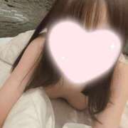 ヒメ日記 2026/09/03 20:05 投稿 ねこ【品性溢れるドM美女】 STELLA TOKYO－ステラトウキョウ－