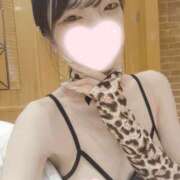 ヒメ日記 2026/09/04 15:37 投稿 ねこ【品性溢れるドM美女】 STELLA TOKYO－ステラトウキョウ－