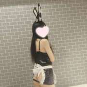 ねこ【品性溢れるドM美女】 ついつい STELLA TOKYO－ステラトウキョウ－