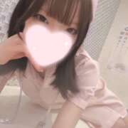 ヒメ日記 2026/09/30 18:34 投稿 ねこ【品性溢れるドM美女】 STELLA TOKYO－ステラトウキョウ－