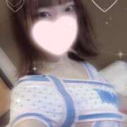 ヒメ日記 2026/10/17 19:32 投稿 ねこ【品性溢れるドM美女】 STELLA TOKYO－ステラトウキョウ－
