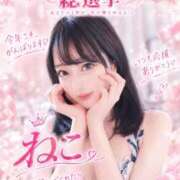 ヒメ日記 2026/10/17 20:04 投稿 ねこ【品性溢れるドM美女】 STELLA TOKYO－ステラトウキョウ－