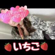 ヒメ日記 2024/12/29 17:59 投稿 いちご 豊満奉仕倶楽部