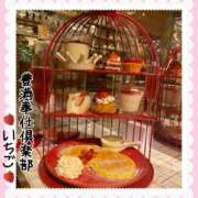 ヒメ日記 2025/02/08 12:29 投稿 いちご 豊満奉仕倶楽部