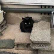 ヒメ日記 2025/02/19 19:49 投稿 いちご 豊満奉仕倶楽部