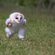 ヒメ日記 2025/03/06 12:29 投稿 いちご 豊満奉仕倶楽部