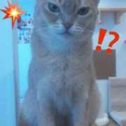 ヒメ日記 2025/03/18 23:39 投稿 いちご 豊満奉仕倶楽部