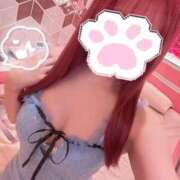 ヒメ日記 2025/11/11 09:17 投稿 めい 池袋マリン本店