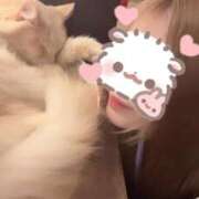 ヒメ日記 2026/01/16 19:00 投稿 めい 池袋マリン本店