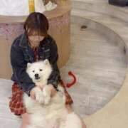 ヒメ日記 2025/04/20 13:53 投稿 つむぎ E+アイドルスクール池袋店