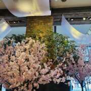 ヒメ日記 2025/03/19 09:12 投稿 青山　るい 魅惑の官能アロマエステ　Eureka！八王子 ～エウレカ！～