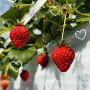 ヒメ日記 2026/02/27 17:51 投稿 青山　るい 魅惑の官能アロマエステ　Eureka！八王子 ～エウレカ！～