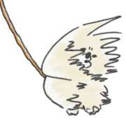 ヒメ日記 2026/04/08 11:24 投稿 青山　るい 魅惑の官能アロマエステ　Eureka！八王子 ～エウレカ！～