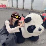 ヒメ日記 2026/03/30 07:23 投稿 【えな】業界未経験のドエロ美女 コーチと私と、ビート板･･･