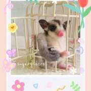 ヒメ日記 2025/09/26 19:57 投稿 ひめ 川崎三浦屋