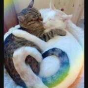 ヒメ日記 2025/10/03 21:39 投稿 ひめ 川崎三浦屋