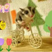 ヒメ日記 2025/10/12 12:56 投稿 ひめ 川崎三浦屋