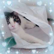 ヒメ日記 2025/12/21 12:48 投稿 ひめ 川崎三浦屋