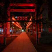 ヒメ日記 2026/01/01 07:05 投稿 ひめ 川崎三浦屋