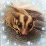 ヒメ日記 2026/02/28 12:33 投稿 ひめ 川崎三浦屋