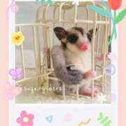 ヒメ日記 2026/03/16 12:47 投稿 ひめ 川崎三浦屋