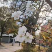 ヒメ日記 2026/03/28 23:30 投稿 ひめ 川崎三浦屋