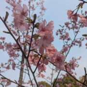 ヒメ日記 2026/04/05 14:44 投稿 ひめ 川崎三浦屋