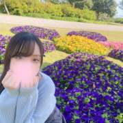 ヒナミ ヒナミのこと、覚えてる？ 姫路ラビット