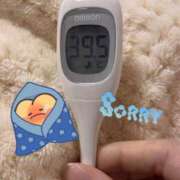 ヒメ日記 2024/12/28 14:53 投稿 えび DOLCE